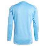 aston villa adidas goalkeeper shirt 2024-25 – long sleeve – 201964005 Collection - Aston Villa Fan Shop Official Gear