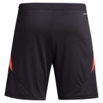 aston villa adidas goalkeeper shorts 2024-25 – 201964002 with custom printing Collection - Aston Villa Fan Shop Official Gear