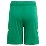 aston villa adidas goalkeeper shorts 2024-25 – 201964010 with custom printing Collection - Aston Villa Fan Shop Official Gear