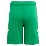aston villa adidas goalkeeper shorts 2024-25 – kids – 201964012 with custom printing Collection - Aston Villa Fan Shop Official Gear