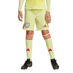 aston villa adidas goalkeeper shorts 2025-26 – kids with custom printing Collection – Aston Villa Fan Shop Official Gear Collection - Aston Villa Fan Shop Official Gear