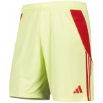 aston villa adidas goalkeeper shorts 2025-26 with custom printing Collection – Aston Villa Fan Shop Official Gear Collection - Aston Villa Fan Shop Official Gear